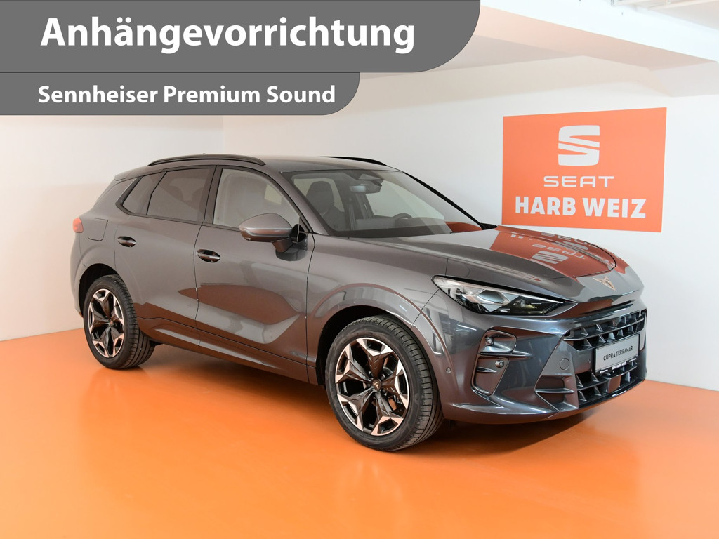 Cupra Terramar 2.0 TSI