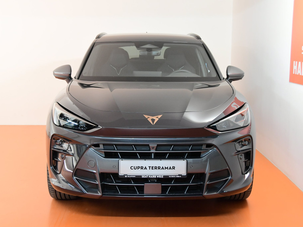 Cupra Terramar 2.0 TSI