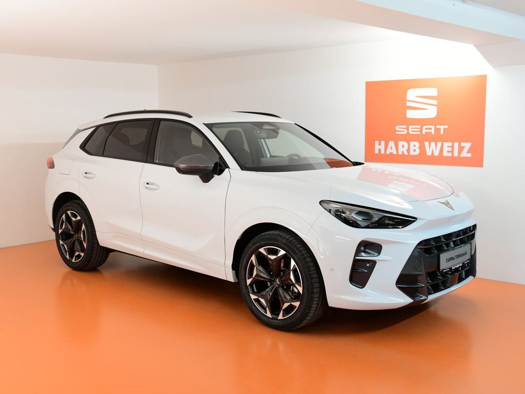 Cupra Terramar