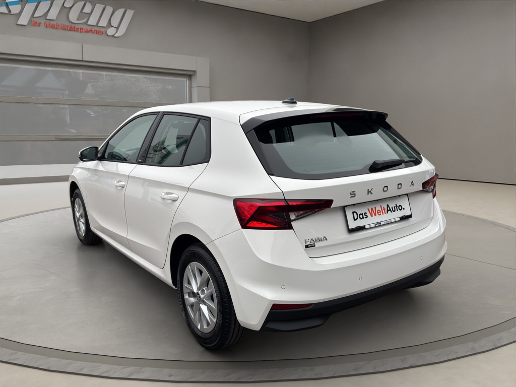 Skoda Fabia