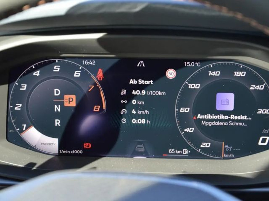 Cupra Terramar