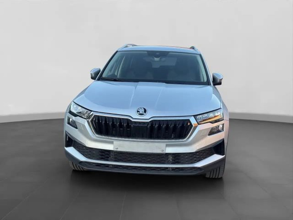 Skoda Karoq Selection
