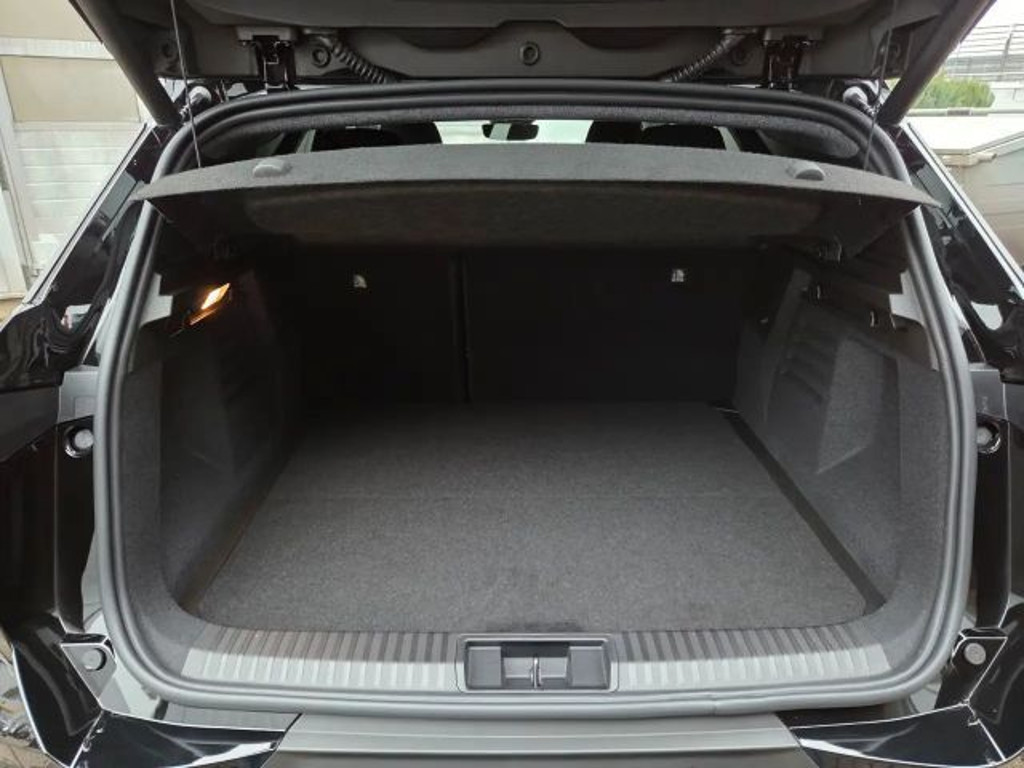 Mitsubishi Grandis