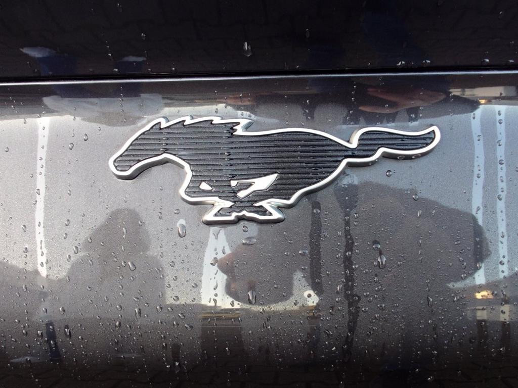 Ford Mustang Mach-E