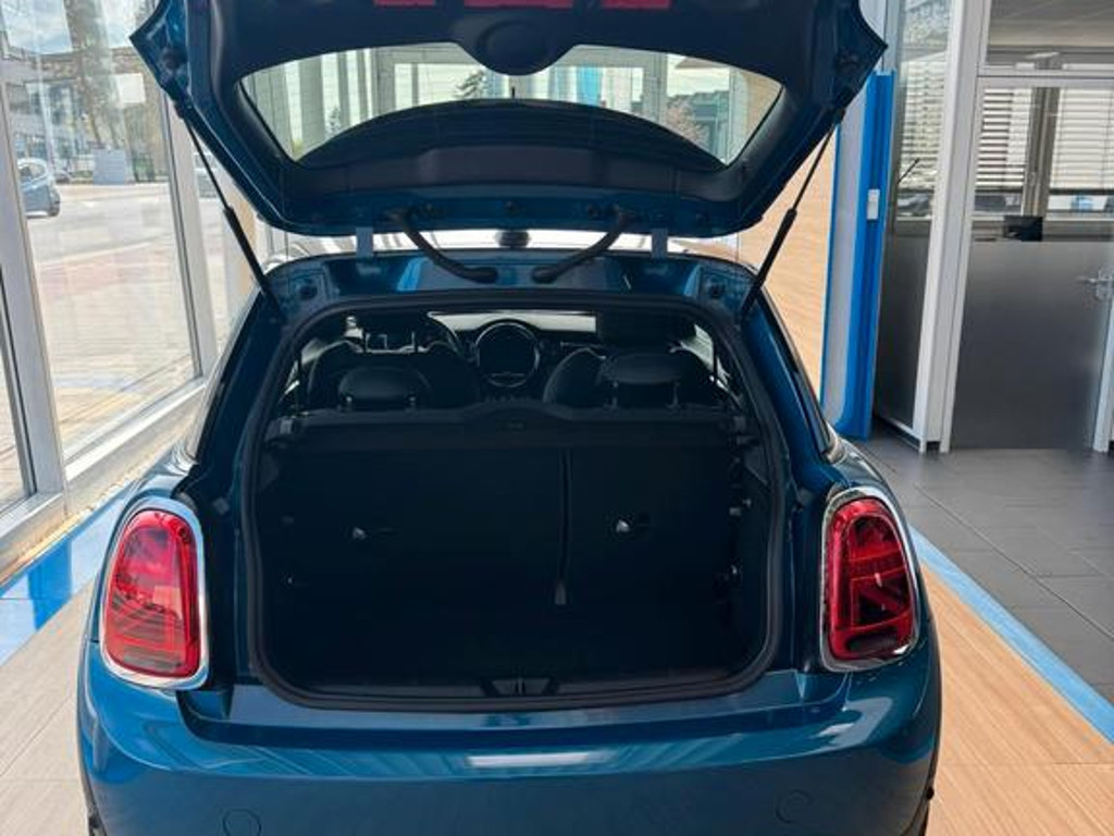 Mini Mini Electric