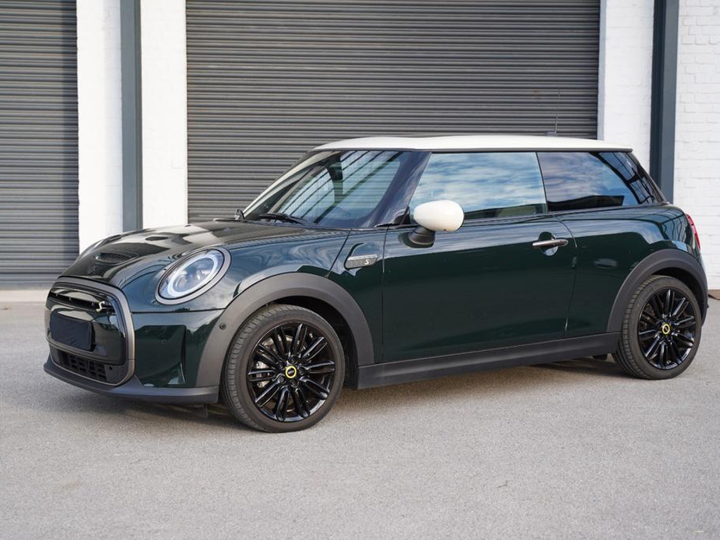 Mini Mini Electric