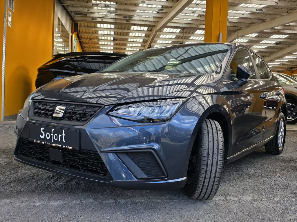 Seat Ibiza Style