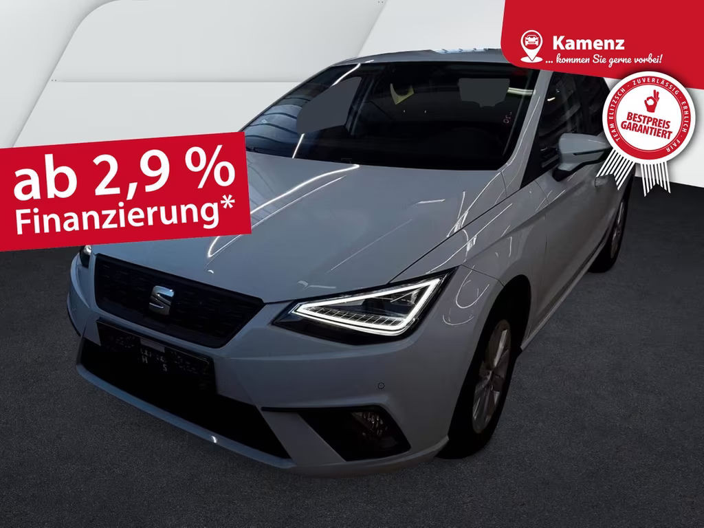 Seat Ibiza Style