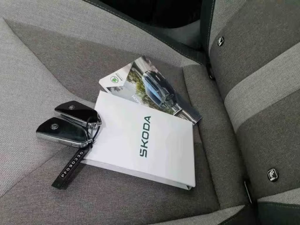 Skoda Enyaq iV