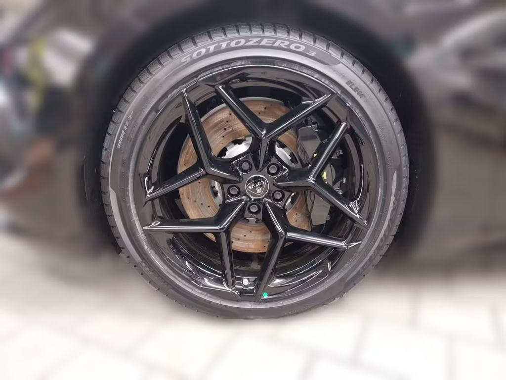 Lotus Emeya