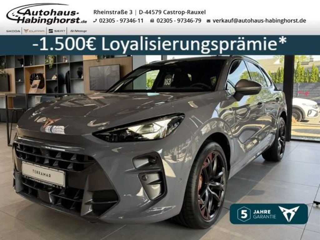Cupra Terramar 2.0 TSI VZ