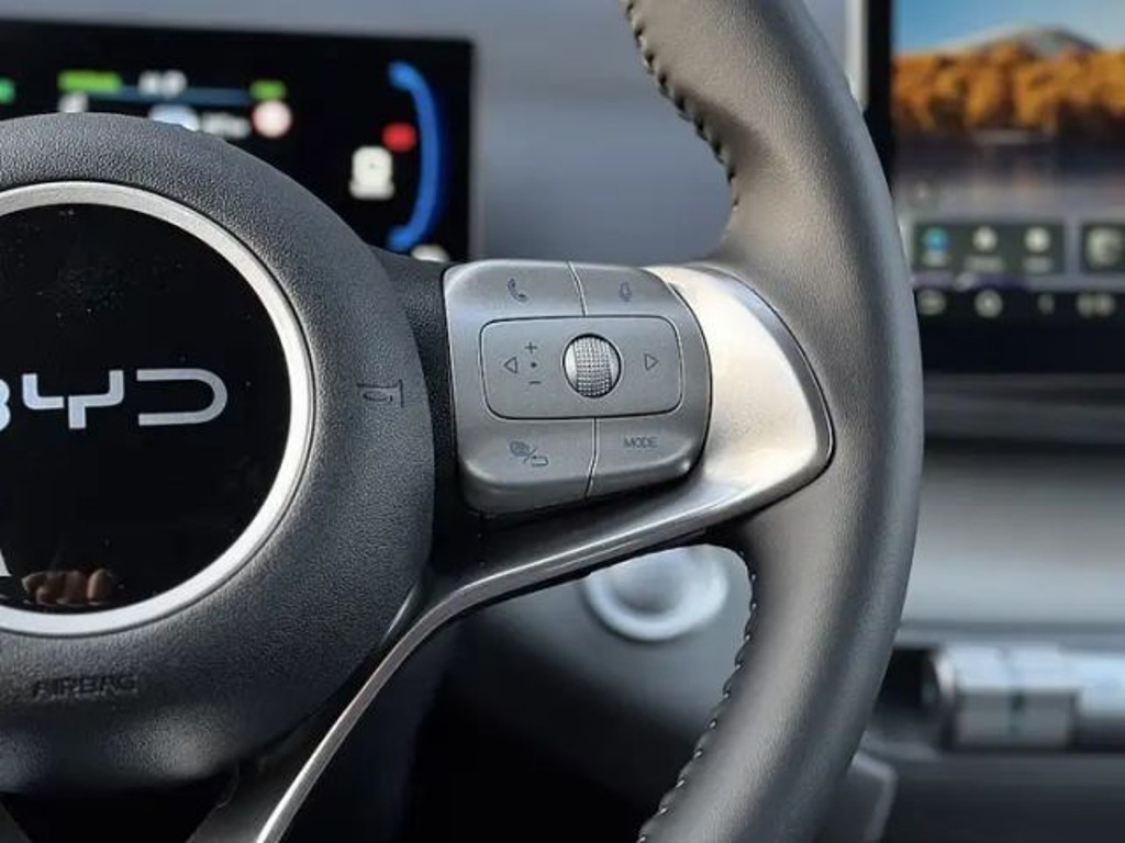 BYD Dolphin Surf