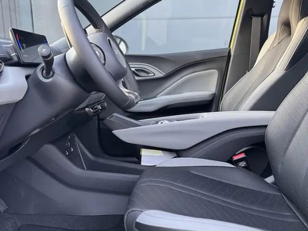 BYD Dolphin Surf