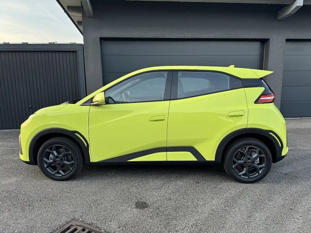 BYD Dolphin Surf