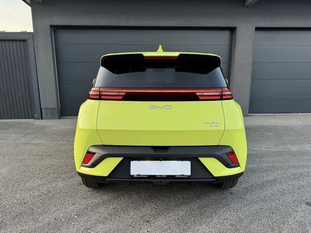 BYD Dolphin Surf