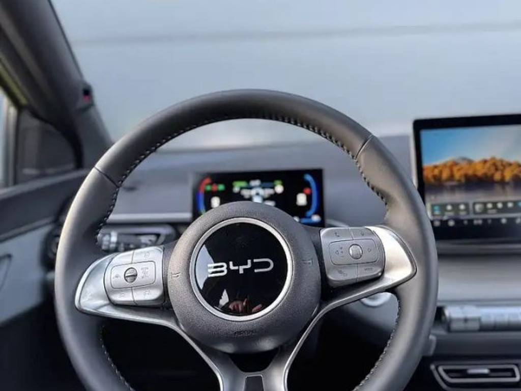 BYD Dolphin Surf