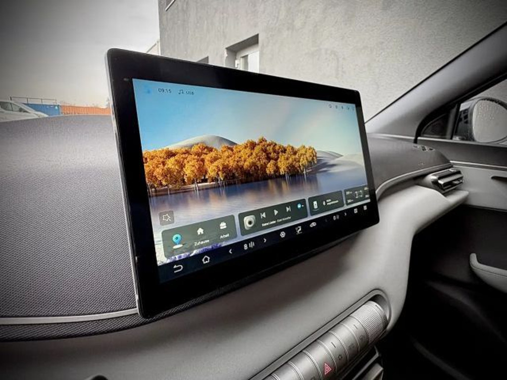BYD Dolphin Surf