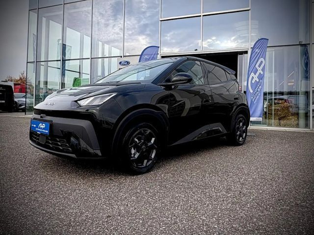BYD Dolphin Surf