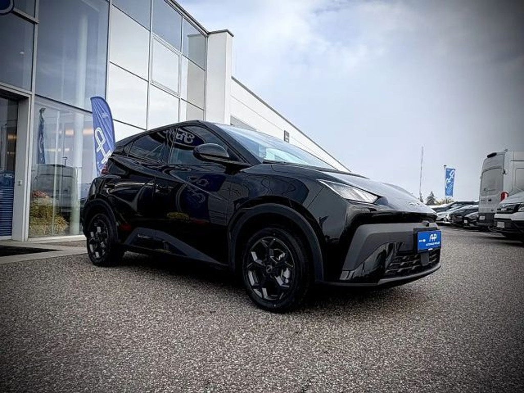 BYD Dolphin Surf