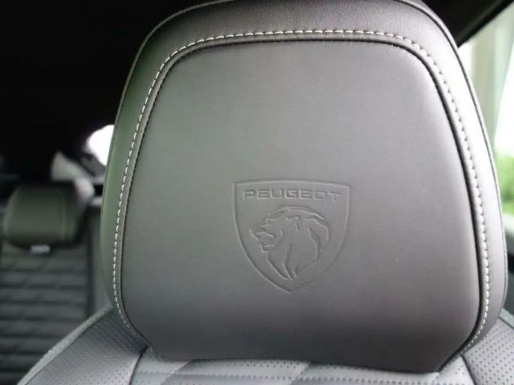 Peugeot E-3008