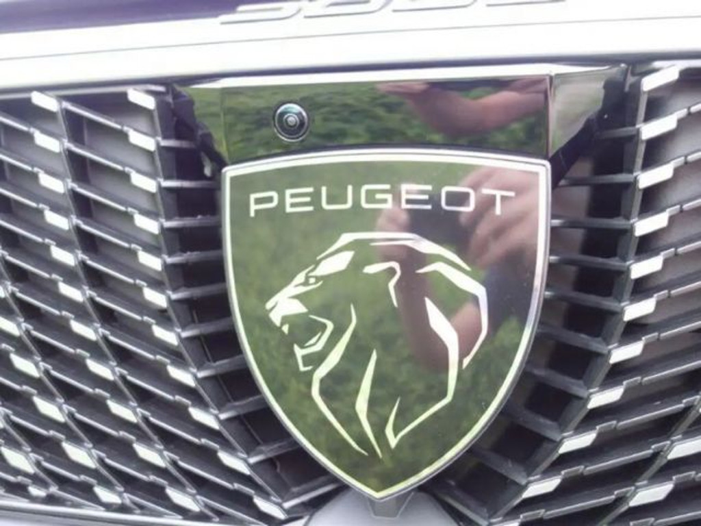 Peugeot E-3008