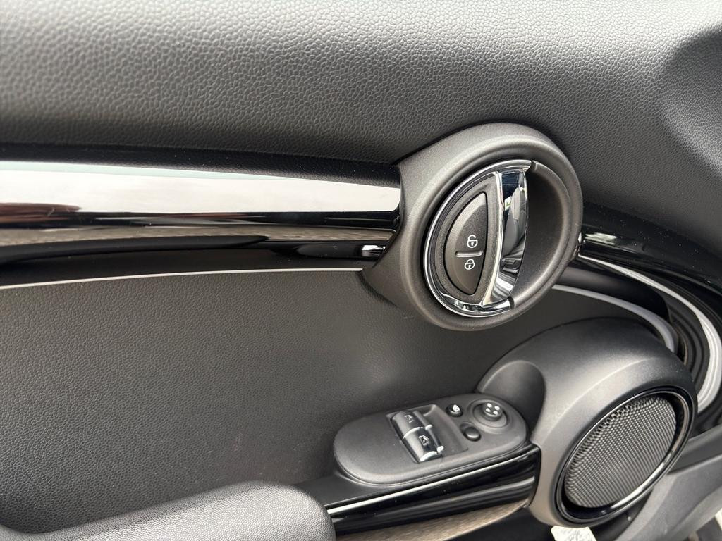 Mini Mini Electric