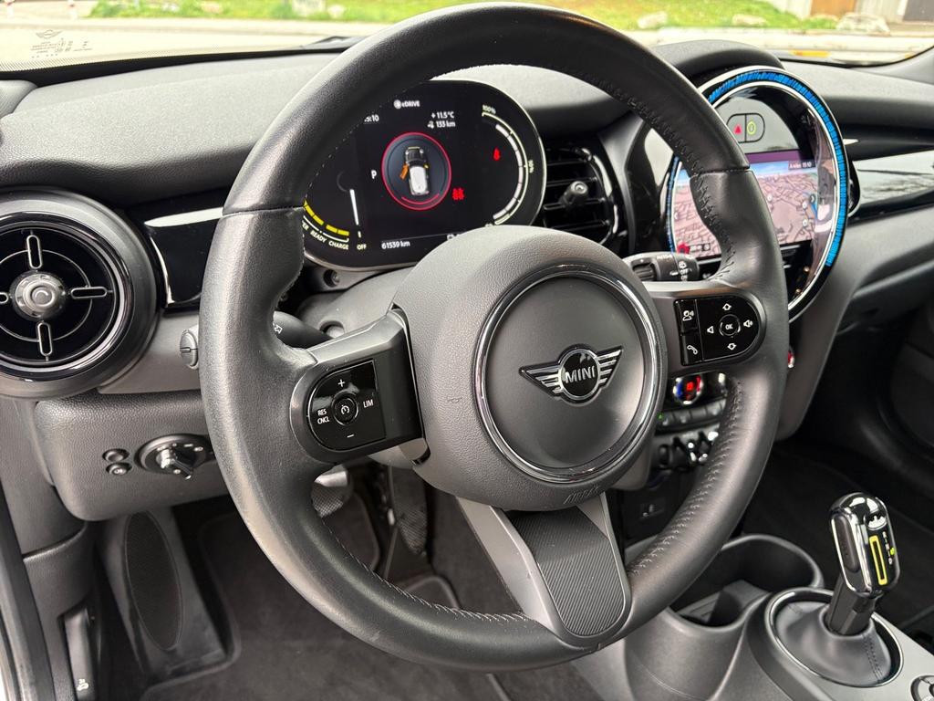 Mini Mini Electric