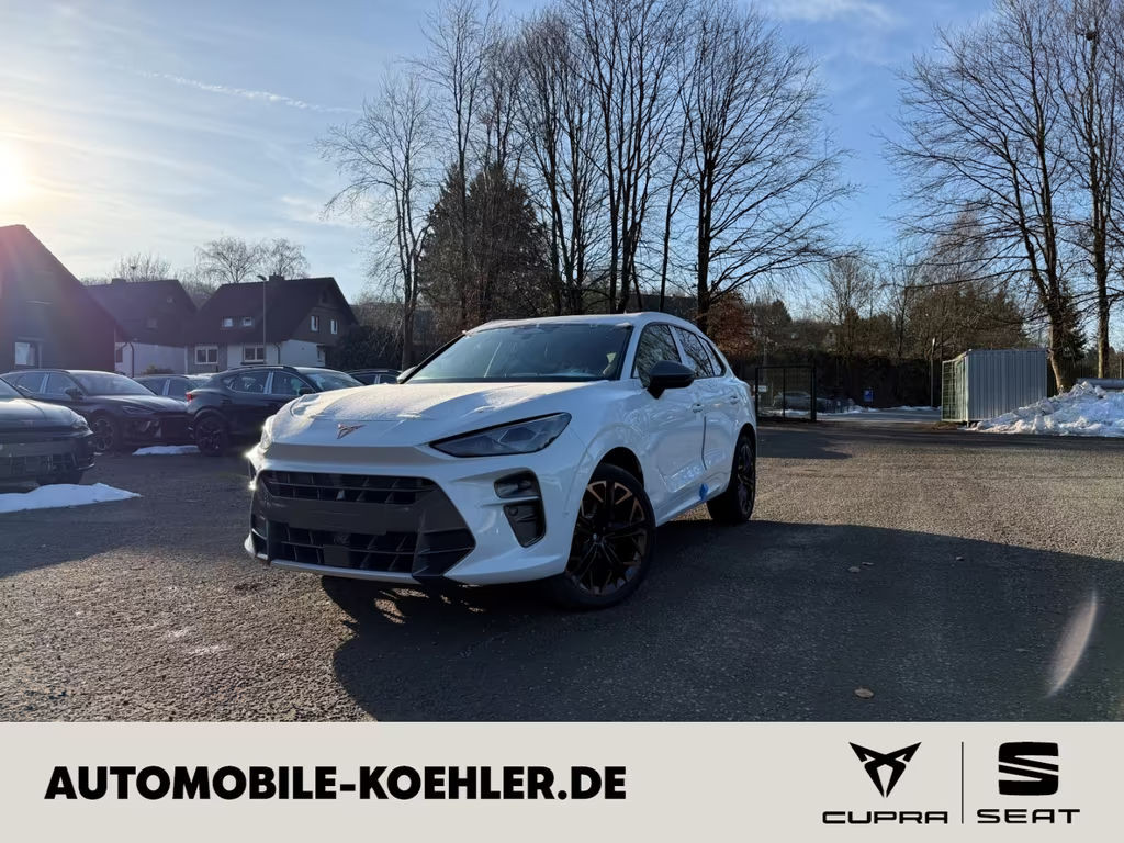 Cupra Terramar 2.0 TSI VZ