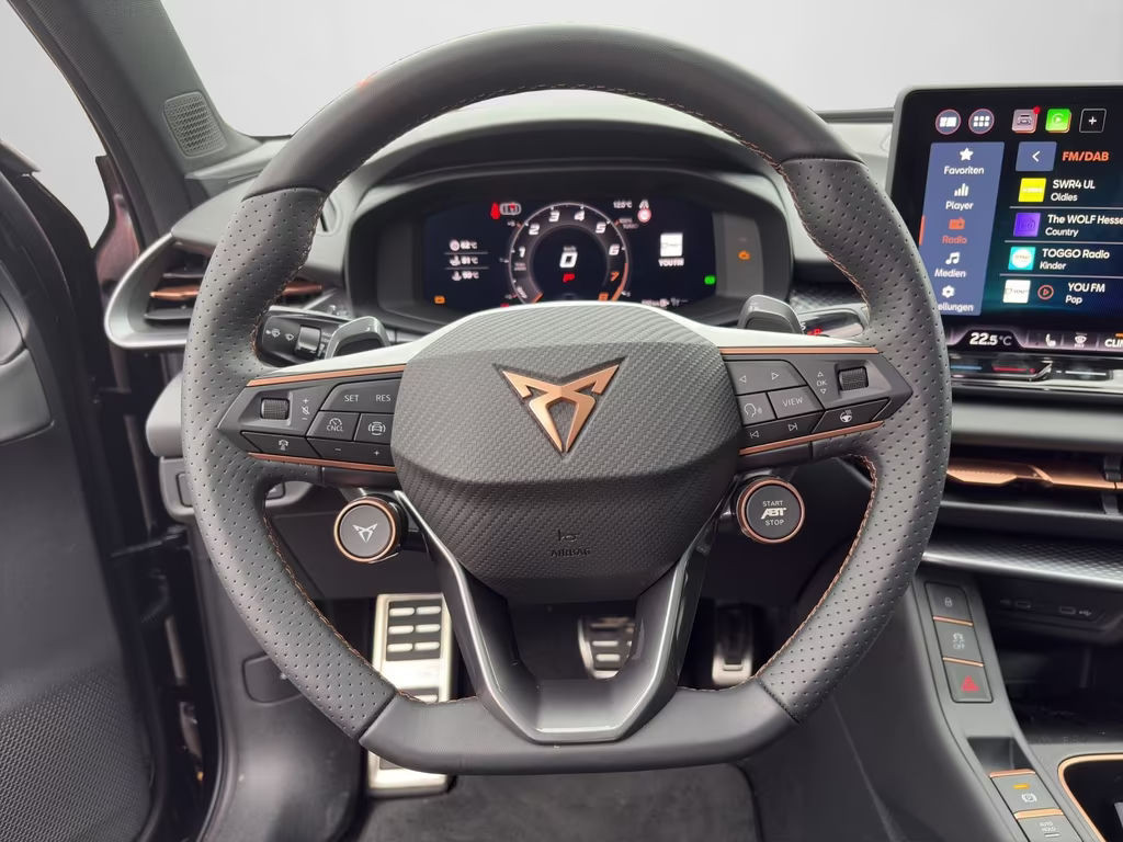 Cupra Terramar