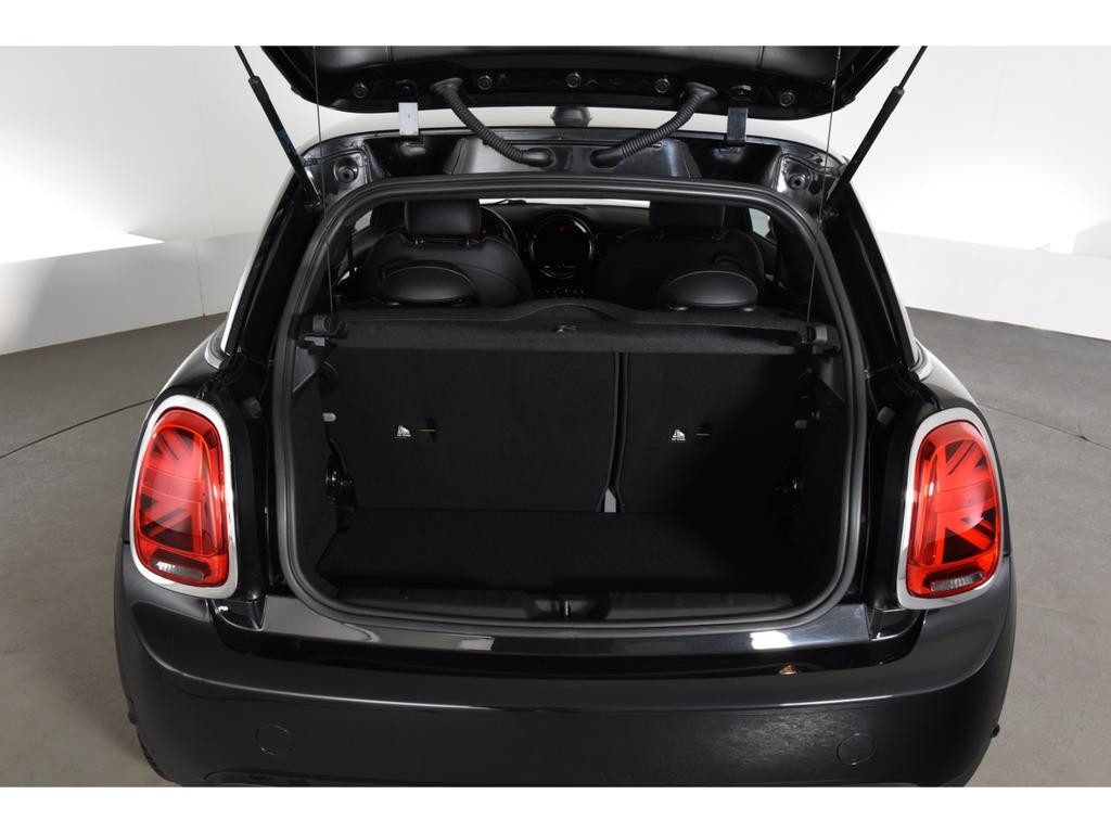 Mini Mini Electric