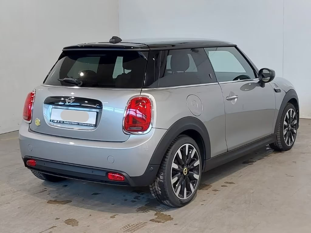 Mini Mini Electric