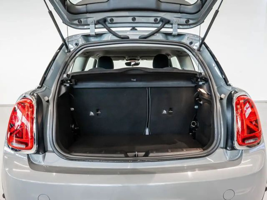 Mini Mini Electric