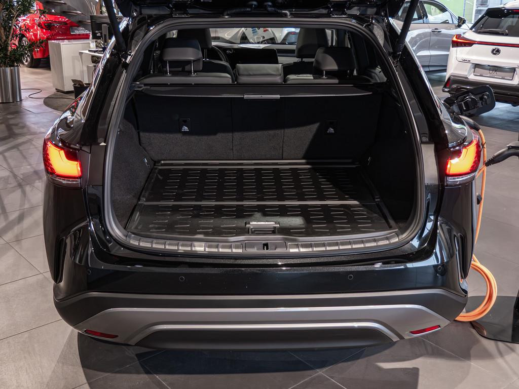 Lexus RX-Serie