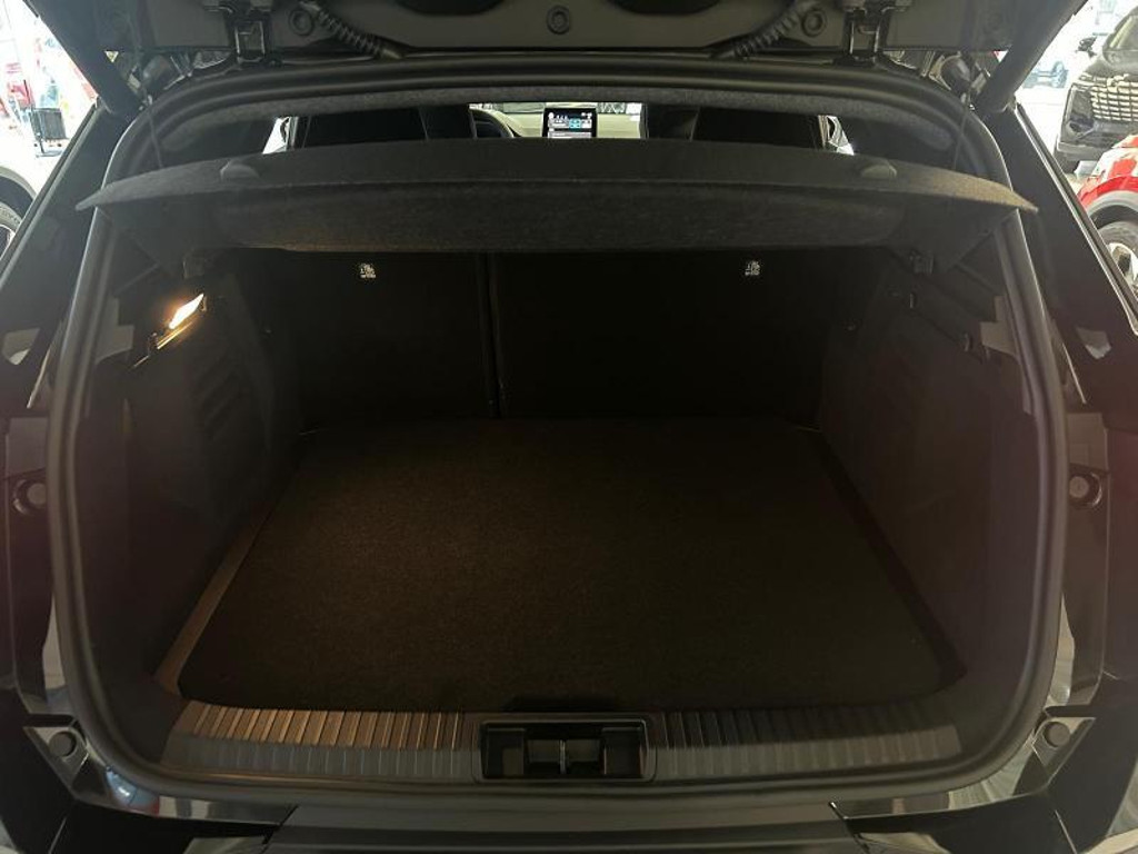 Mitsubishi Grandis