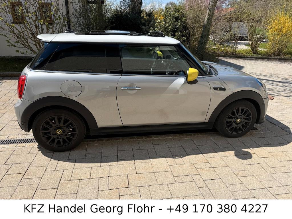 Mini Mini Electric