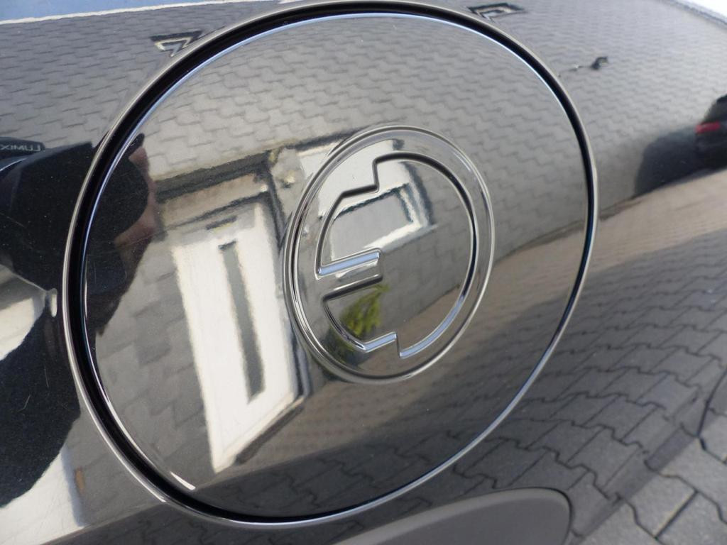 Mini Mini Electric