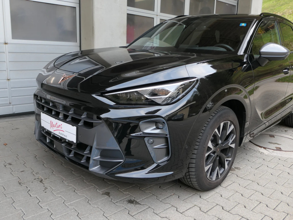 Cupra Terramar 2.0 TSI