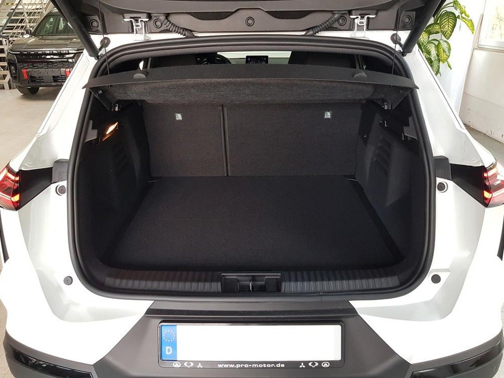 Mitsubishi Grandis