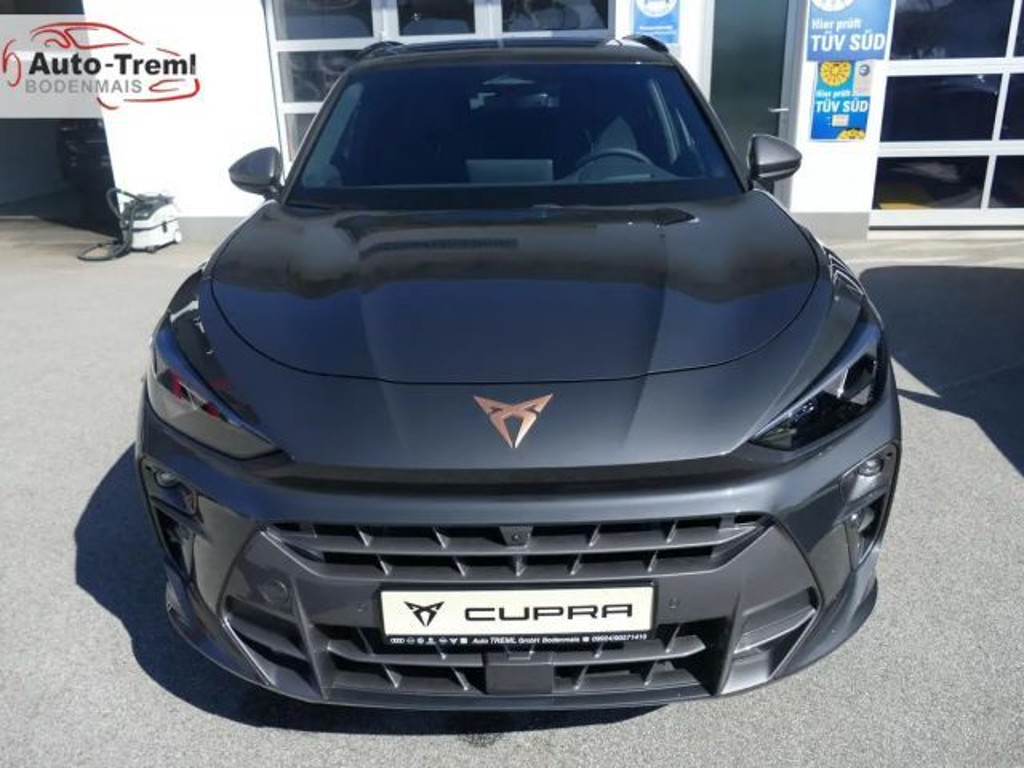 Cupra Terramar
