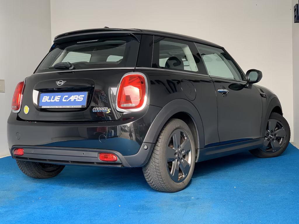 Mini Mini Electric
