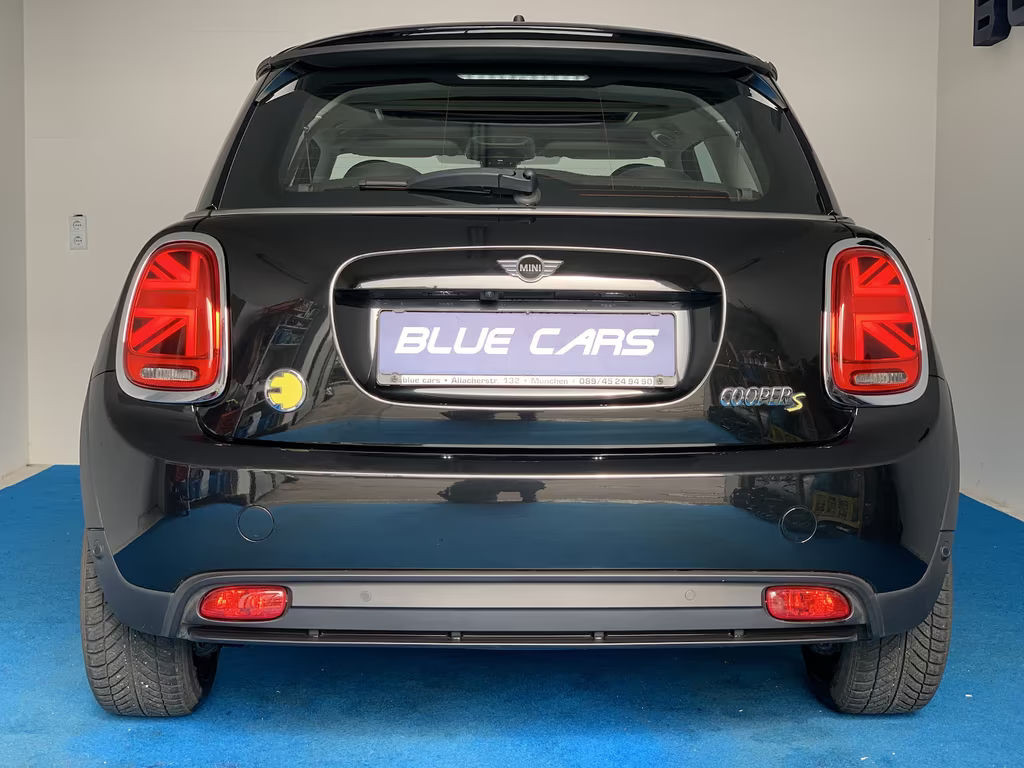 Mini Mini Electric