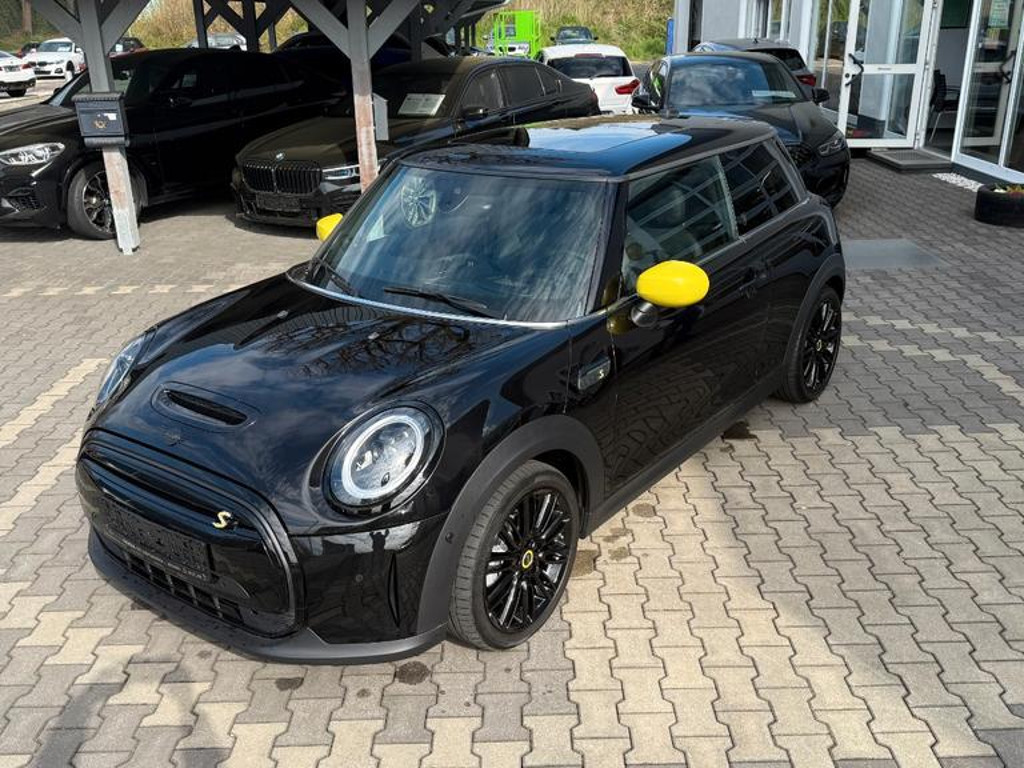 Mini Mini Electric
