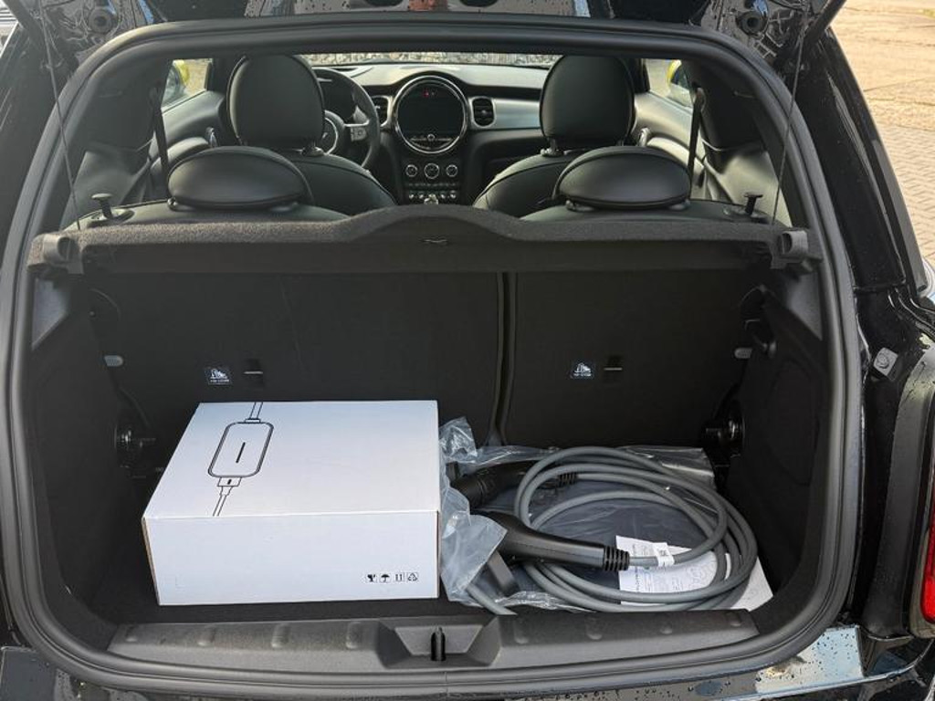 Mini Mini Electric