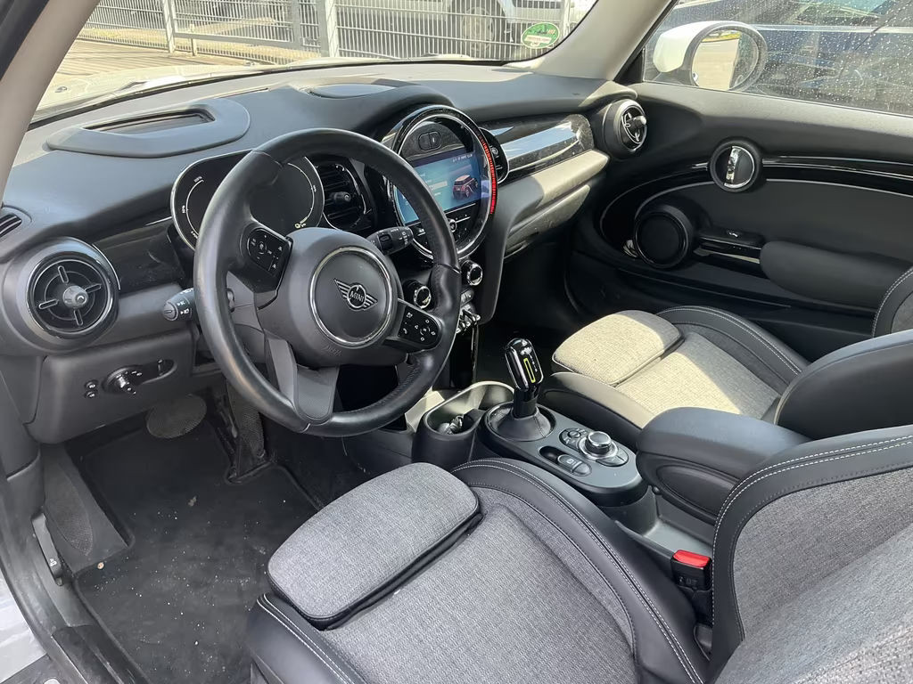 Mini Mini Electric