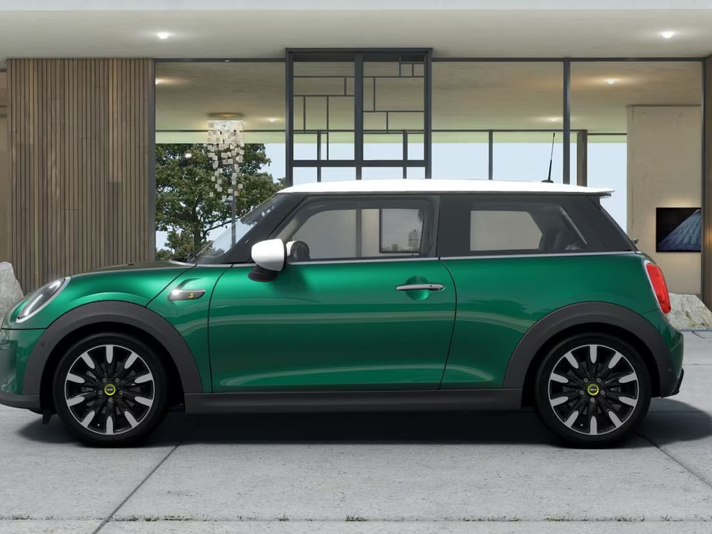 Mini Mini Electric
