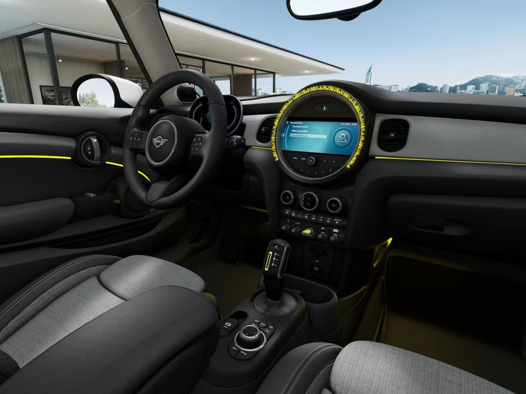 Mini Mini Electric
