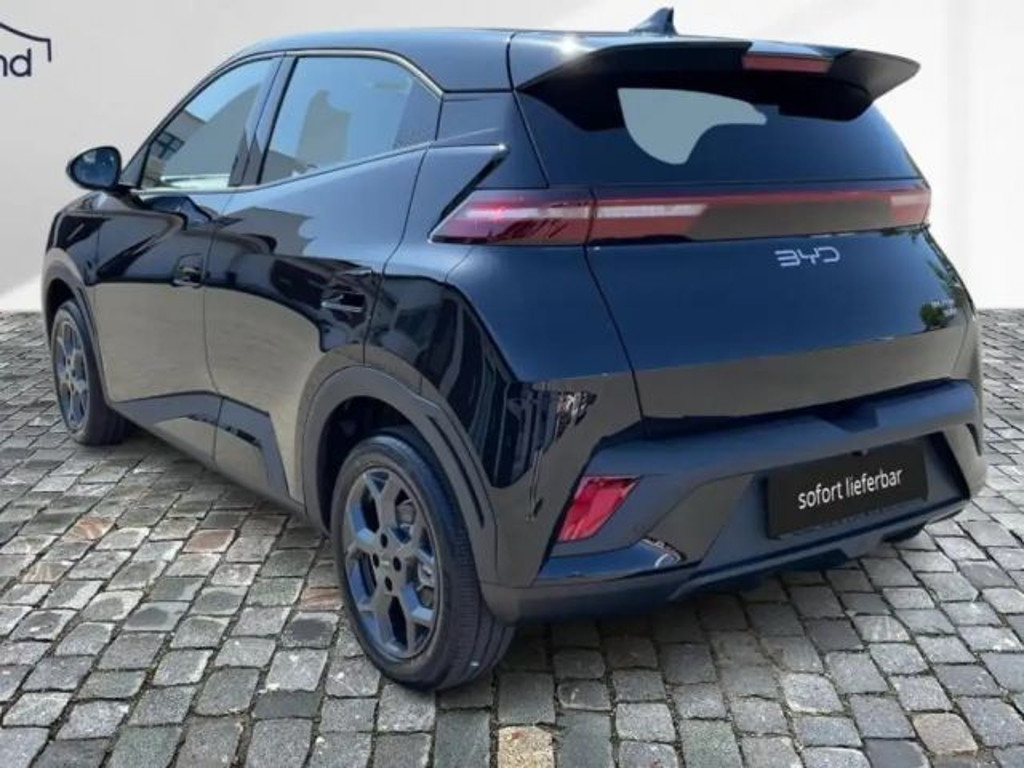 BYD Dolphin
