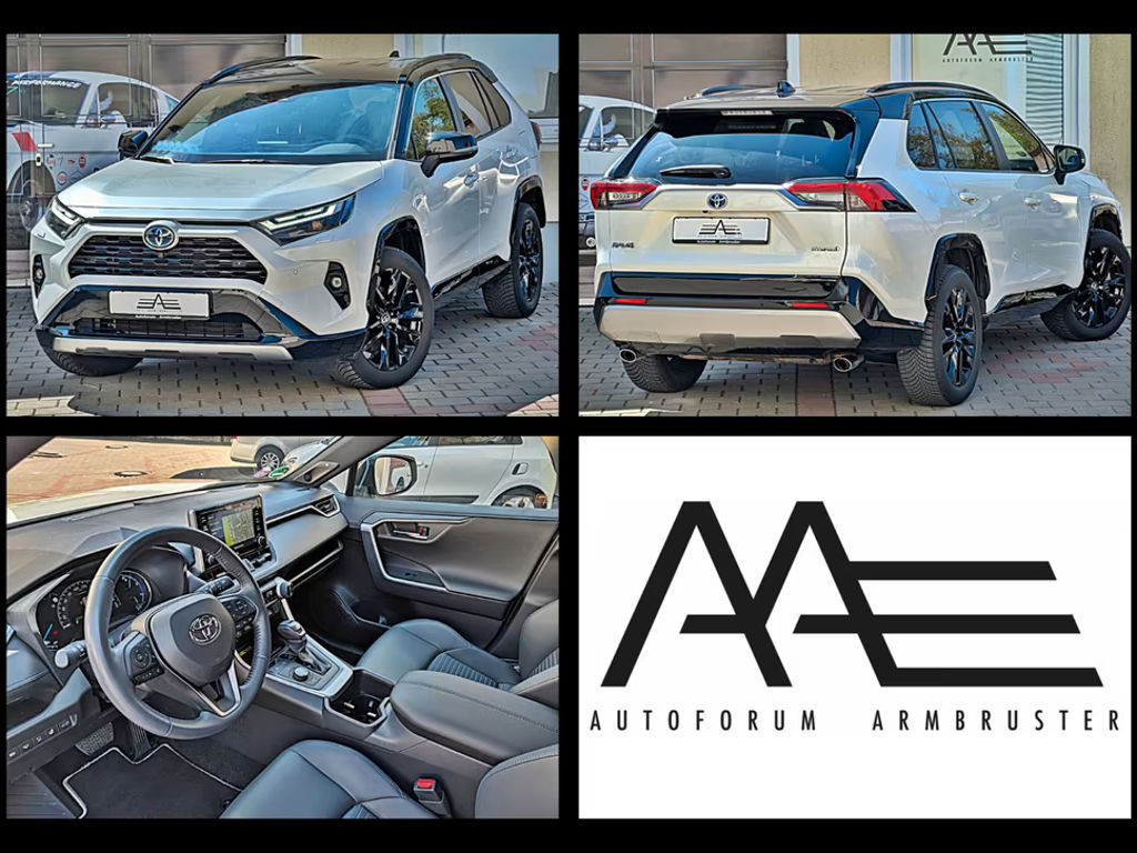 Toyota RAV4 Style Vierwielaandrijving Hybride