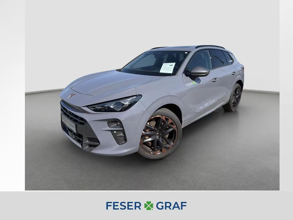 Cupra Terramar 2.0 TSI VZ