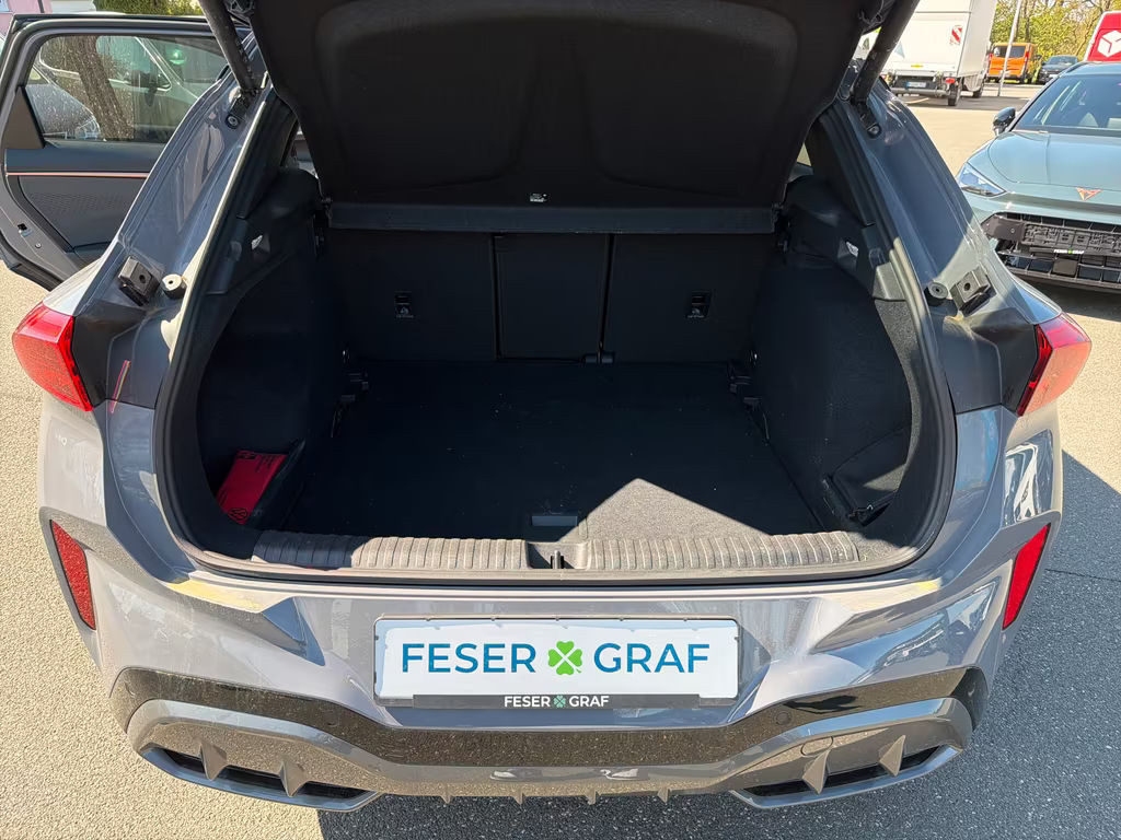 Cupra Terramar